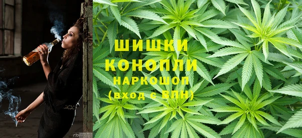гидра Лихославль