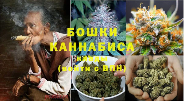 гидра Лихославль