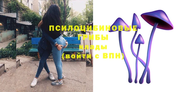 гидра Лихославль