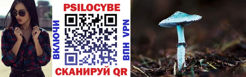 купить наркотик  Всеволожск  Галлюциногенные грибы Cubensis 