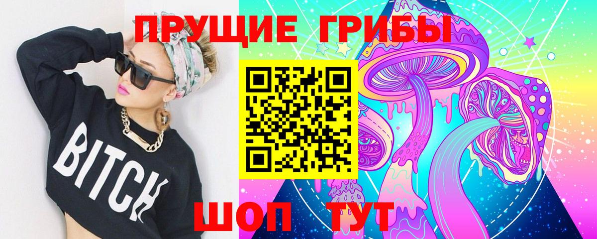 Галлюциногенные грибы MAGIC MUSHROOMS  Всеволожск  Псилоцибиновые грибы Psilocybe 